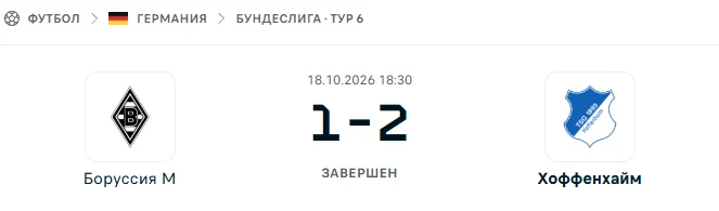 Боруссия М - Хоффенхайм результат матча
